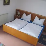 In With Swimming Pool Vakantiehuis Ebensee