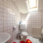 In With Swimming Pool Vakantiehuis Ebensee