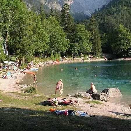 In With Swimming Pool *